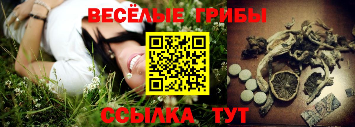 Галлюциногенные грибы MAGIC MUSHROOMS  Вход с VPN  Королёв 